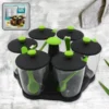 Multipurpose 6 Piece Miracle Revolving Plastic Spice Container Rack With 6 Spoon,